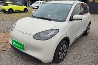 五菱汽车 五菱缤果 2024款 333km 悦享款