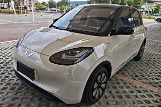五菱汽车 五菱缤果 2023款 333km 灵犀互联+款