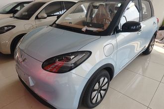 五菱汽车 五菱缤果 2025款 333km 悦享款