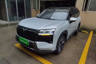 五菱汽车 星光560新能源 2026款 插混 125km 豪华型