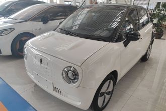 欧拉黑猫 2021款 301km 基础型