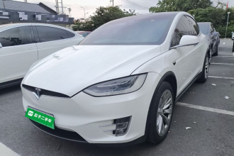 特斯拉 Model X 2019款 长续航版