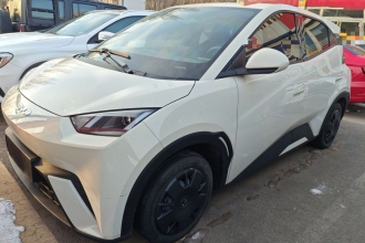 比亚迪 海鸥 2024款 荣耀版 305km 活力版