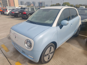 欧拉黑猫 2022款 改款 301km 萌宠版 磷酸铁锂