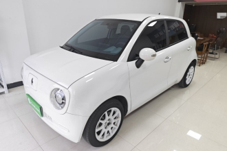 欧拉黑猫 2021款 301km 基础型