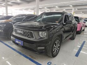 哈弗大狗 PLUS 2023款 1.5T 两驱潮野版Plus