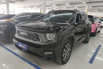 哈弗大狗 PLUS 2023款 1.5T 两驱潮野版Plus