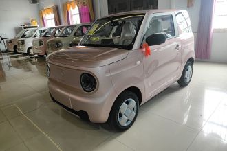 吉利银河 2024款 熊猫mini 200km 耐力熊