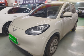 五菱汽车 五菱缤果 2023款 203km 轻享款