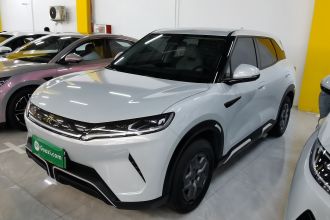 比亚迪 元UP 2024款  401KM 活力版