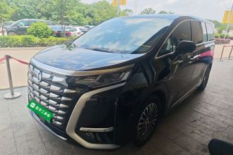 腾势D9 2024款 DM-i 1050 尊享型