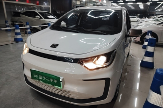 思皓 花仙子 2021款 150km 进取型