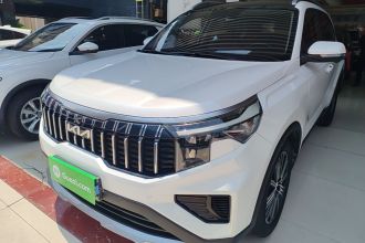 起亚 智跑 2021款 Ace 2.0L 精彩版