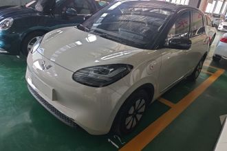 五菱汽车 五菱缤果 2023款 333km 悦享+款