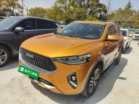 哈弗F7 2019款 2.0T 四驱70周年限量版