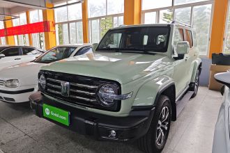 坦克300 2021款 城市版 2.0T 很有型