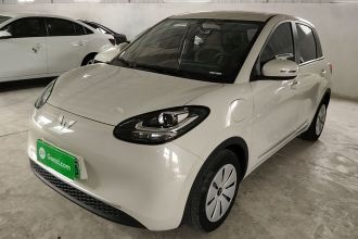 五菱汽车 五菱缤果 2023款 333km 快享款
