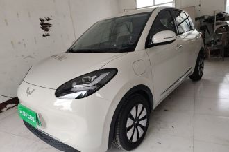 五菱汽车 五菱缤果 2025款 333km 悦享款