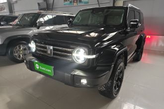 坦克300 2021款 城市版 2.0T 很有型