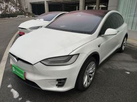特斯拉 Model X 2019款 长续航版