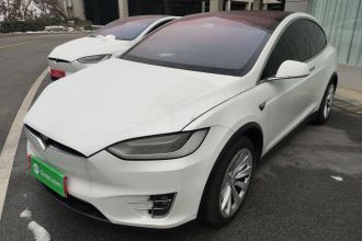 特斯拉 Model X 2019款 长续航版