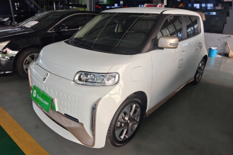 欧拉白猫 2020款 360km 豪华型