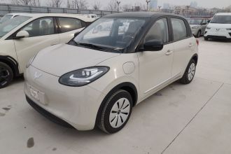 五菱汽车 五菱缤果 2025款 203km 轻享款