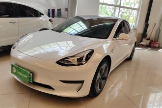 特斯拉 Model 3 2019款 标准续航后驱升级版