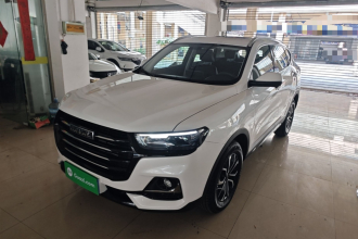 哈弗H6 2025款 1.5T 国潮都市版