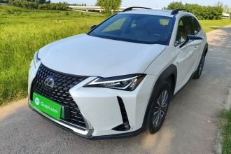 雷克萨斯UX新能源 2020款 300e 纯·悦版