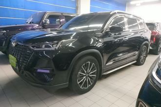 奇瑞 瑞虎8 PRO 2024款 冠军版 290T 两驱巅峰版 7座