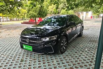 大众 帕萨特 2022款 330TSI 星空豪华版 特供版