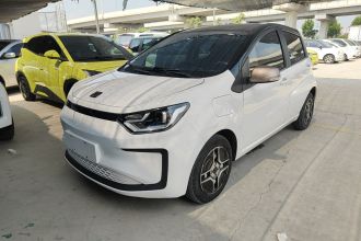 思皓 花仙子 2021款 302km 时尚型 30.2kWh