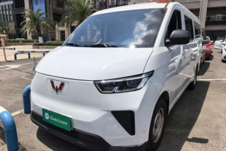 五菱汽车 五菱扬光 2024款 300km 舒适型客车版 75kW