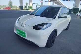 五菱汽车 五菱缤果 2023款 333km 悦享款