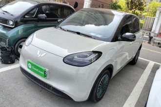 五菱汽车 五菱缤果 2024款 333km 悦享款