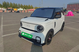 吉利银河 2025款 210km 熊猫卡丁