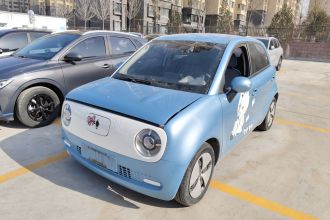 欧拉黑猫 2019款 351km 灵趣版