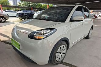 五菱汽车 五菱缤果 2023款 333km 快享款