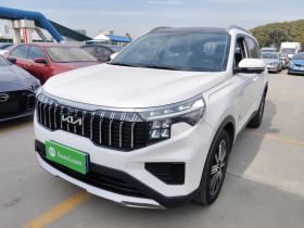 起亚 智跑 2021款 Ace 2.0L 精彩版