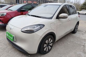 五菱汽车 五菱缤果 2023款 333km 悦享+款