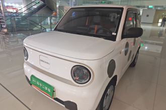 吉利银河 2023款 熊猫mini 200km 耐力熊