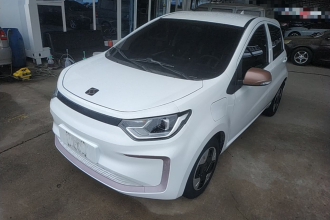 思皓 花仙子 2023款 251km 四叶草 36kW