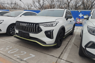 哈弗赤兔 2021款 激擎版 1.5T 黄金兔