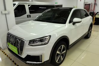 奥迪Q2L e-tron 2019款 Q2L e-tron 纯电智享型