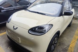 五菱汽车 五菱缤果 2025款 333km 悦享款