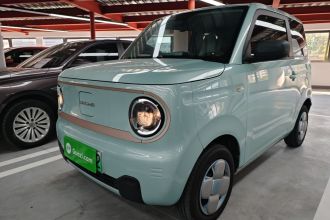 吉利银河 2024款 熊猫mini 200km 耐力熊