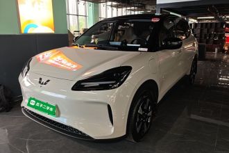 五菱汽车 五菱缤果PLUS 2024款 330km 五座版