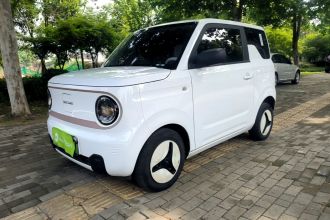 吉利银河 2024款 熊猫mini 200km 耐力熊