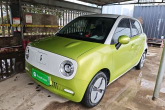 欧拉黑猫 2021款 301km 基础型